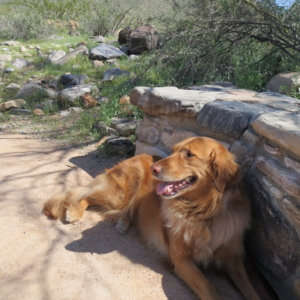 Relaxing after an AZ hike